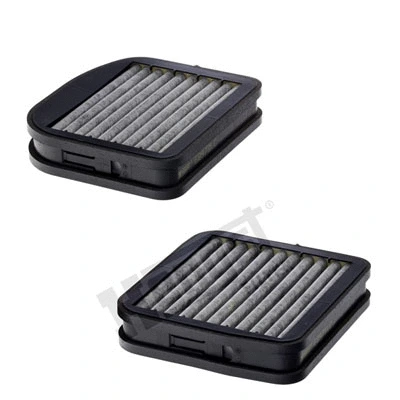 Filter, cabin air (E2973LC-2)