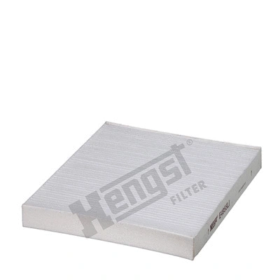 Filter, cabin air (E4955LI)