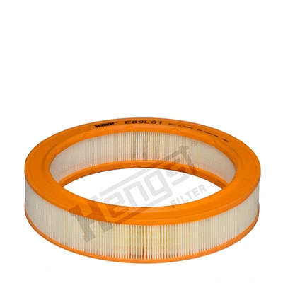 Air Filter (E89L01)