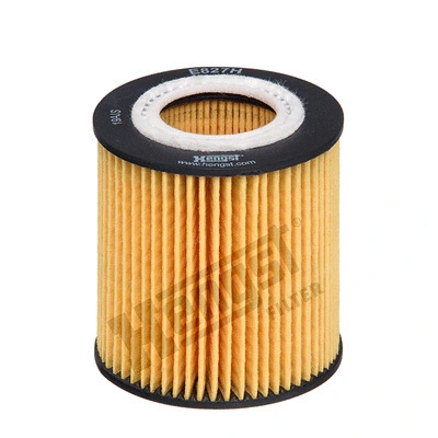 Oil Filter (E827H D270)