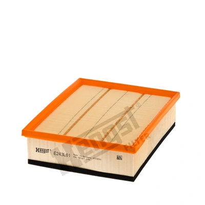 Air Filter (E243L01)