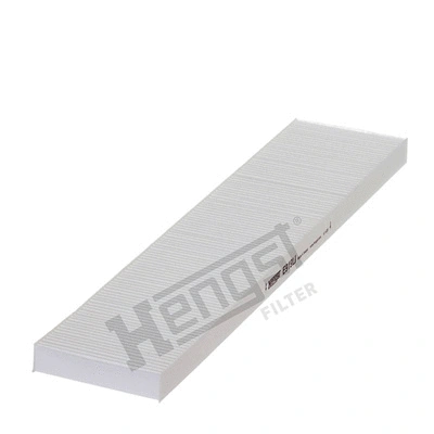 Filter, cabin air (E919LI)