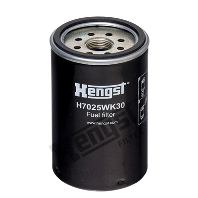 Fuel Filter (H7025WK30)