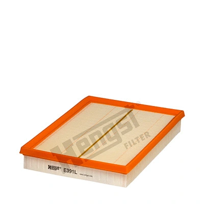 Air Filter (E391L)