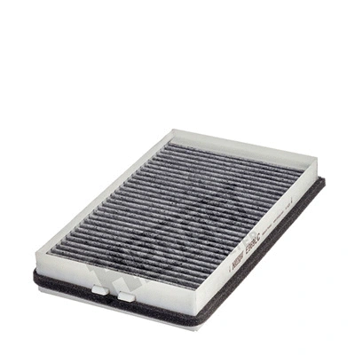 Filter, cabin air (E969LC)