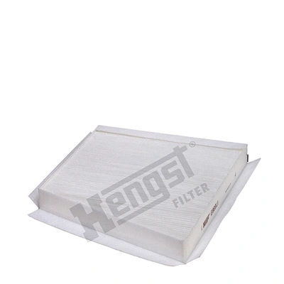 Filter, cabin air (E989LI)