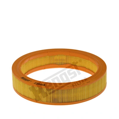 Air Filter (E849L)