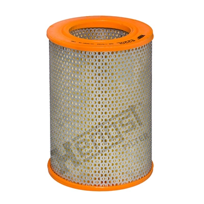 Air Filter (E220L)