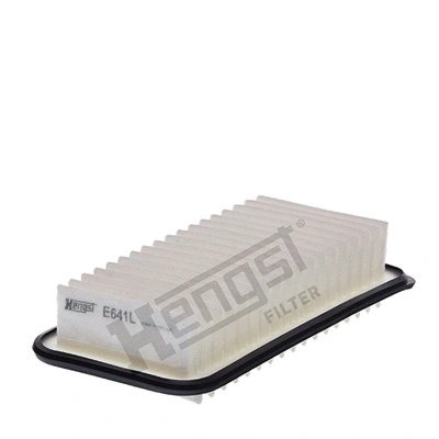 Air Filter (E641L)
