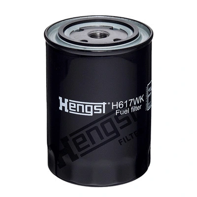 Fuel Filter (H617WK D725)