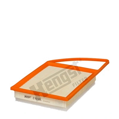 Air Filter (E1036L)