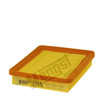 Air Filter (E815L)