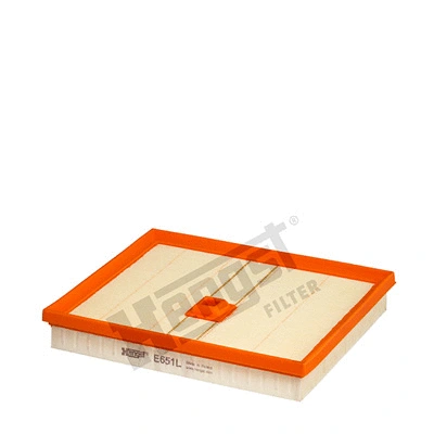 Air Filter (E651L)