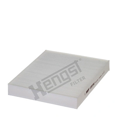 Filter, cabin air (E3919LI)