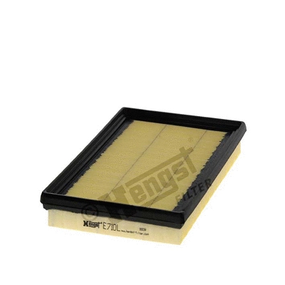 Air Filter (E710L)