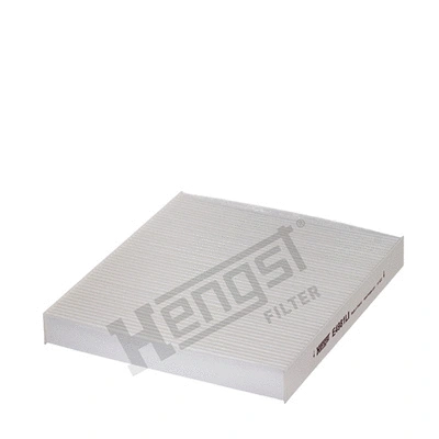 Filter, cabin air (E4981LI)