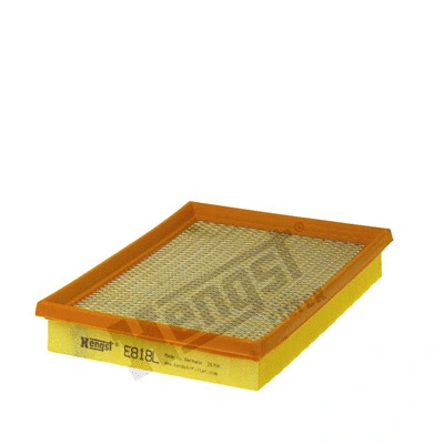 Air Filter (E818L)