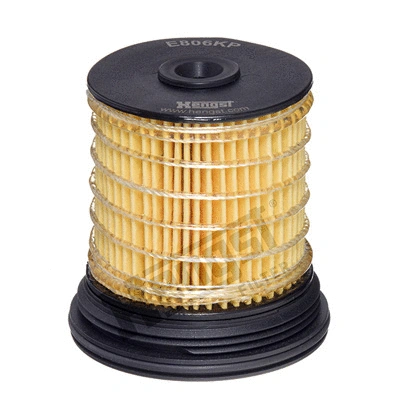 Fuel Filter (E806KP)