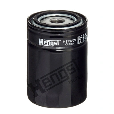 Oil Filter (H17W09)
