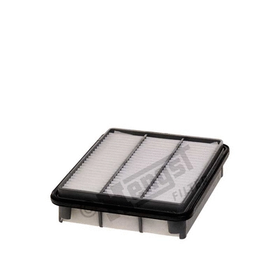 Air Filter (E546L)