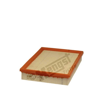 Air Filter (E217L)