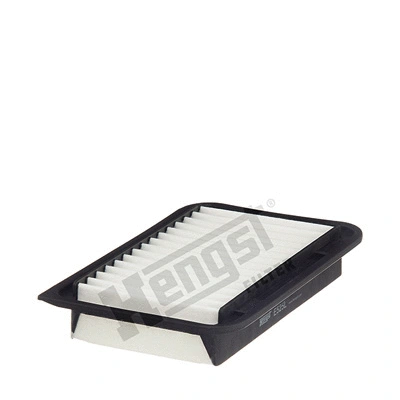 Air Filter (E525L)