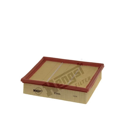 Air Filter (E598L)