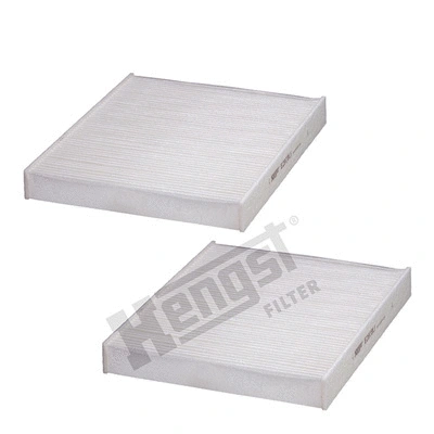 Filter, cabin air (E2978LI-2)