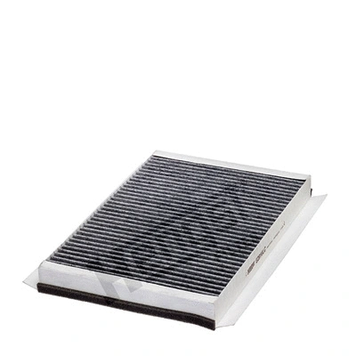 Filter, cabin air (E2916LC)