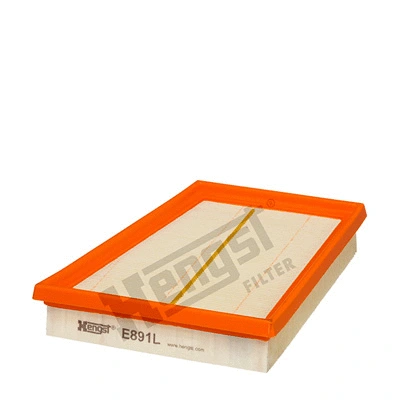 Air Filter (E891L)