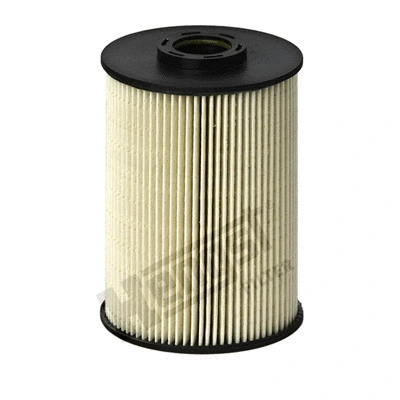 Fuel Filter (E89KP D163)