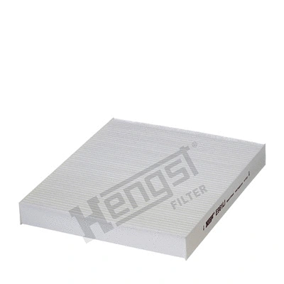 Filter, cabin air (E961LI)