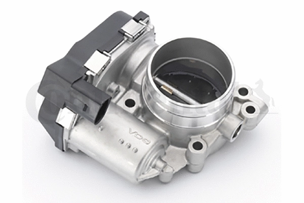 Throttle Body (408-242-002-003Z)