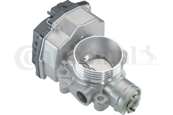 Throttle Body (408-239-821-001Z)