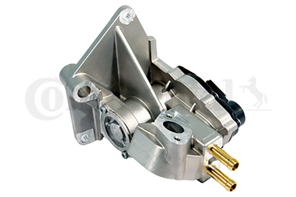 EGR Valve (408-265-001-002Z)