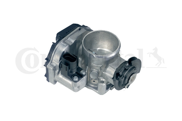 Throttle Body (408-237-212-007Z)