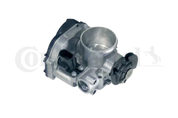 Throttle Body (408-236-212-004Z)