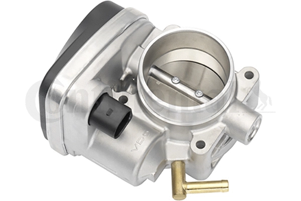 Throttle Body (408-238-627-001Z)