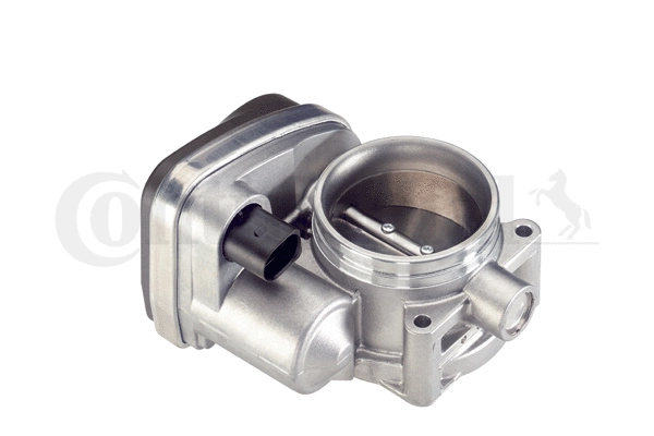 Throttle Body (408-238-422-003Z)