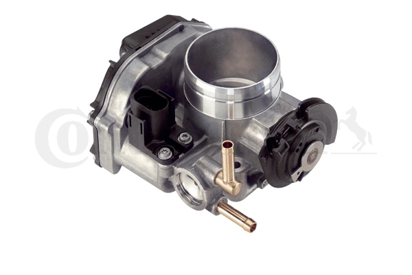 Throttle Body (408-237-111-017Z)