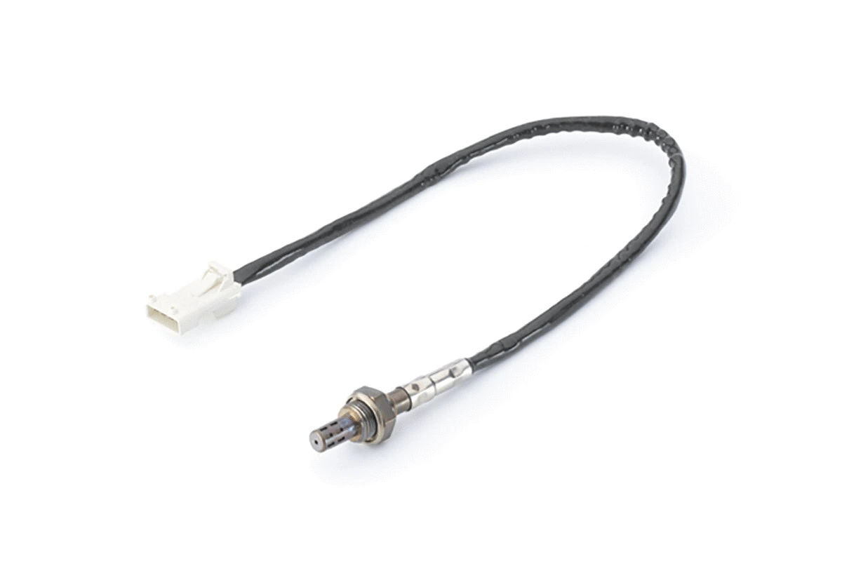 Lambda Sensor (A2C59513176Z)