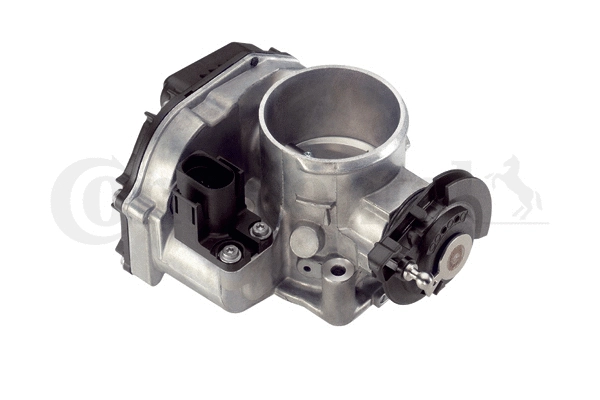 Throttle Body (408-237-212-008Z)