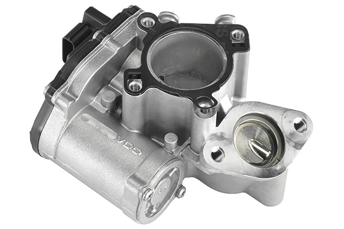EGR Valve (A2C59516597)