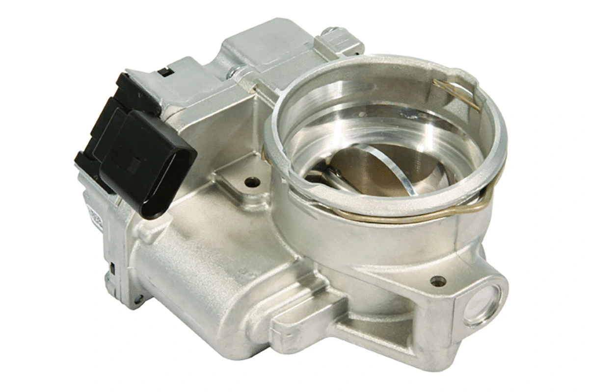 Throttle Body (A2C59512937)