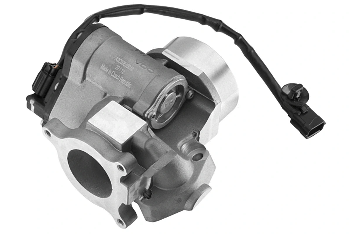 EGR Valve (A2C59515010)