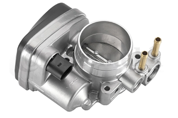 Throttle Body (408-238-327-003Z)