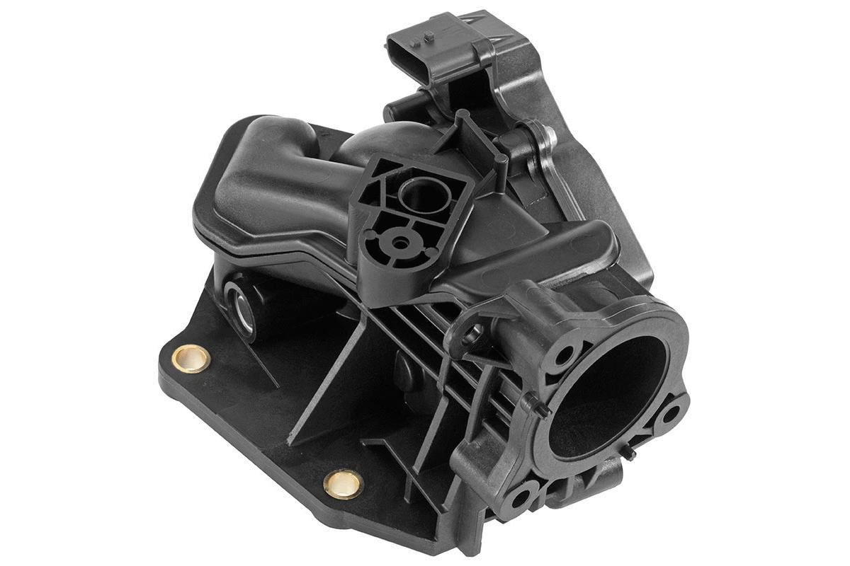 Throttle Body (2910000087000)