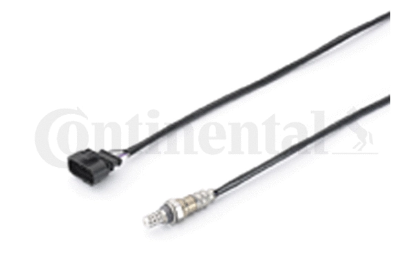Lambda Sensor (A2C59513312Z)