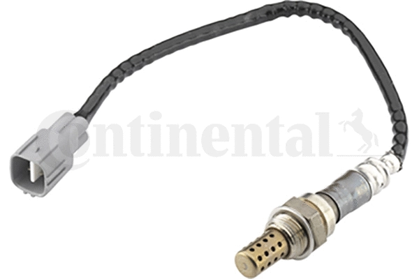 Lambda Sensor (A2C59513876Z)