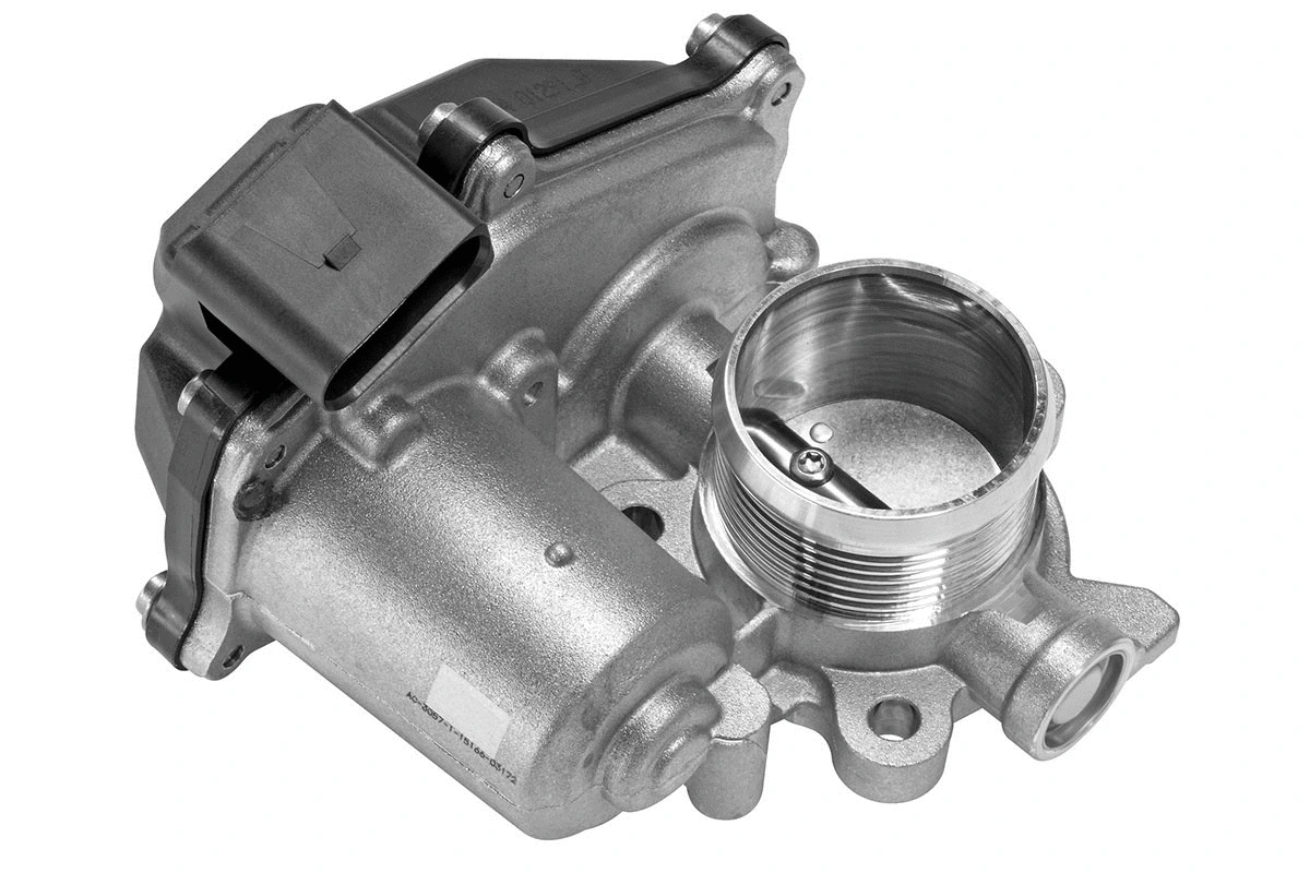 EGR Valve (A2C59507763)